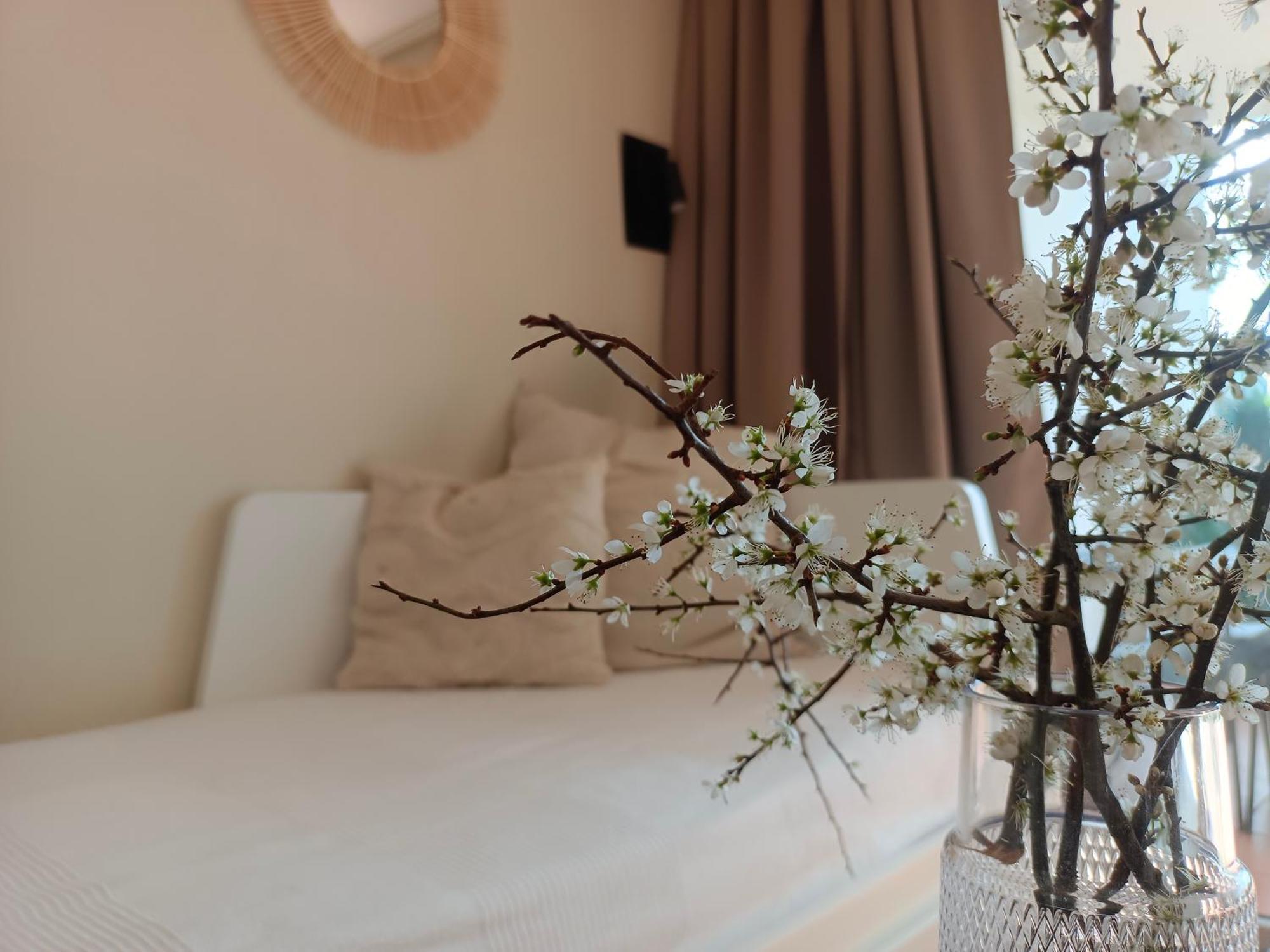 Appartement T1 Bis Avec Piscine Vue Golf Et Montagnes à Arcangues Extérieur photo